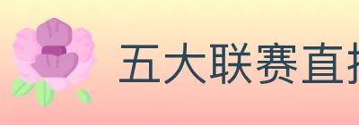 五大联赛直播 logo